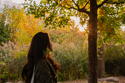 Human's awe in front of the sunset