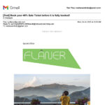 Responsive Email Newsletter